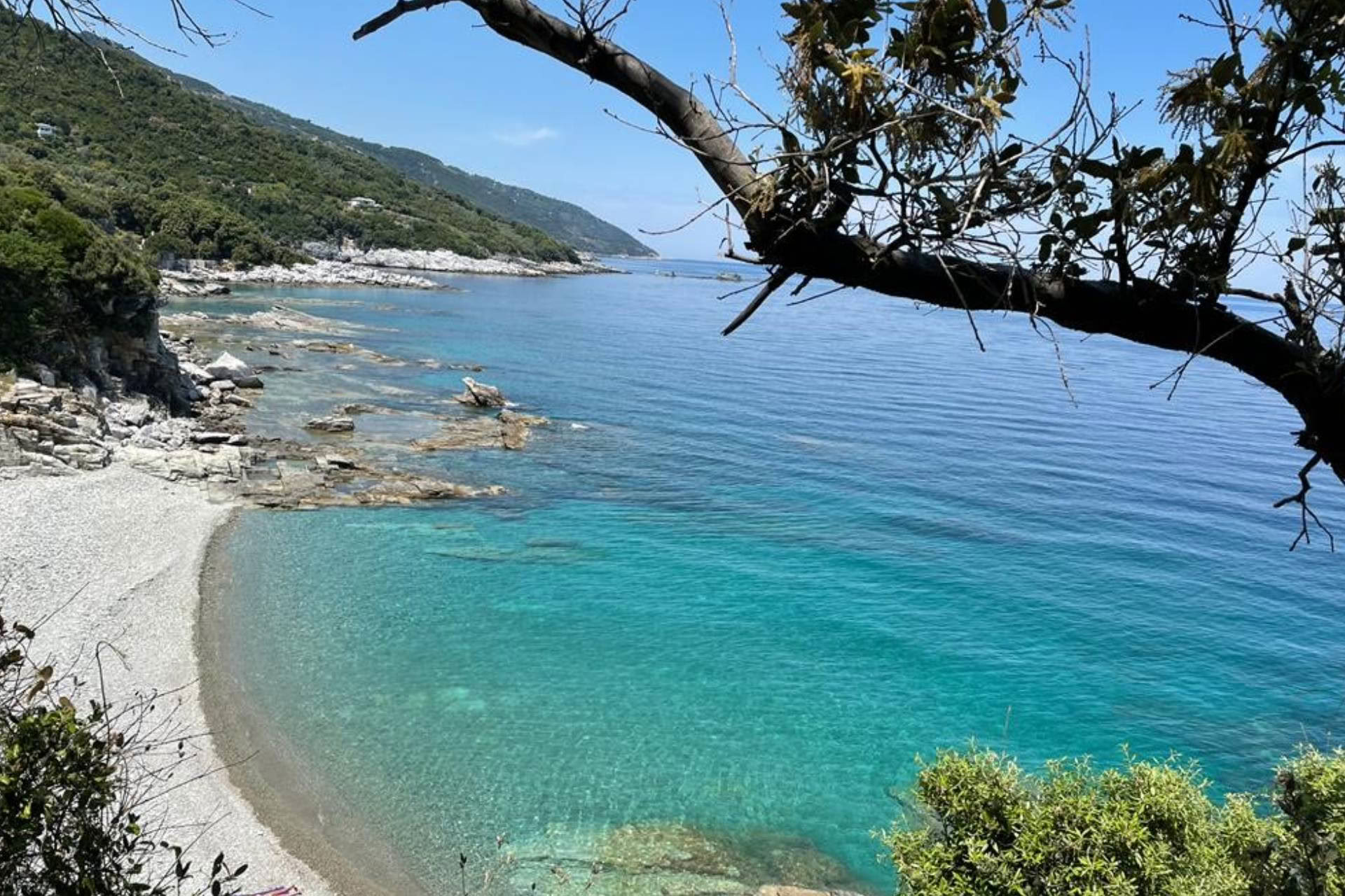 Tata Wellness ritiro in Pelion