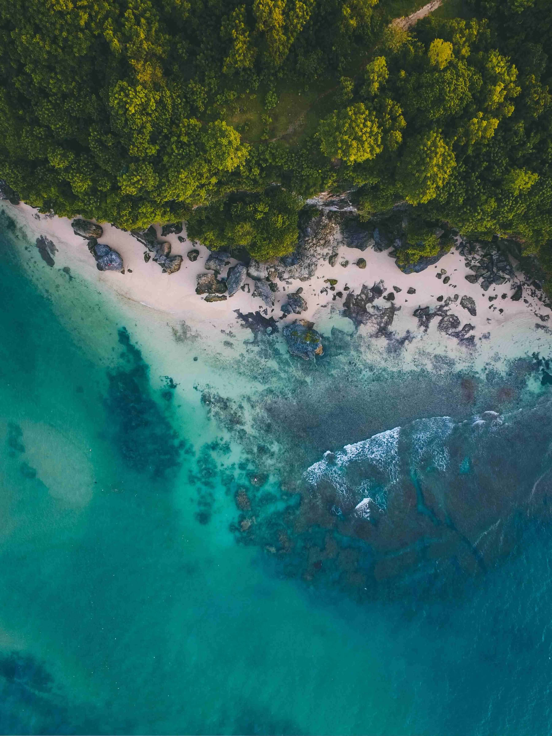 Riscoperta della natura per donne Ritiro