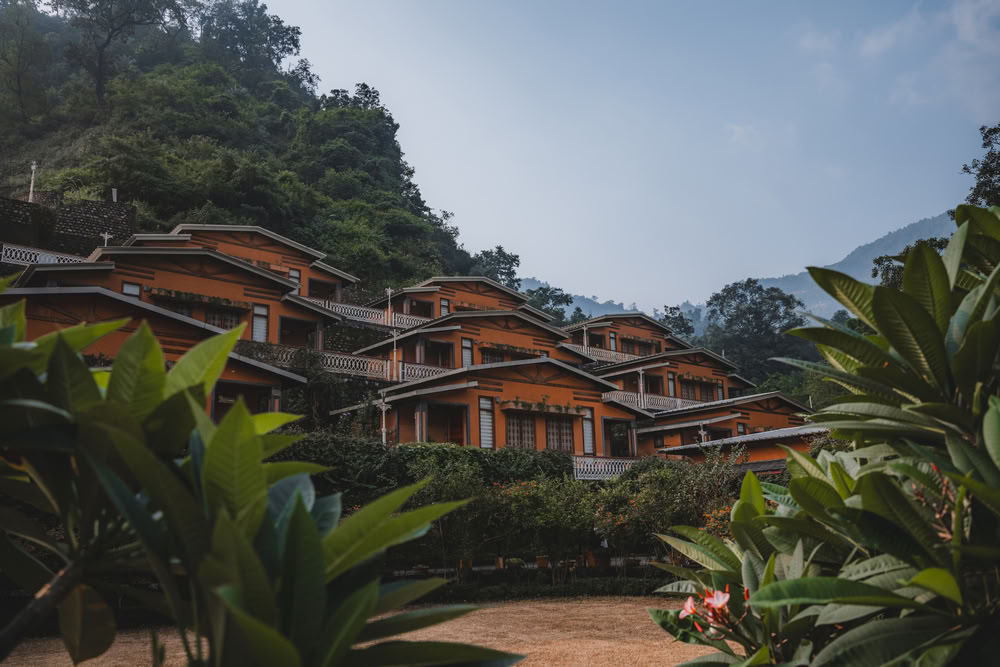 200 ore YTT a Rishikesh – 20 ago – 11 set 2026