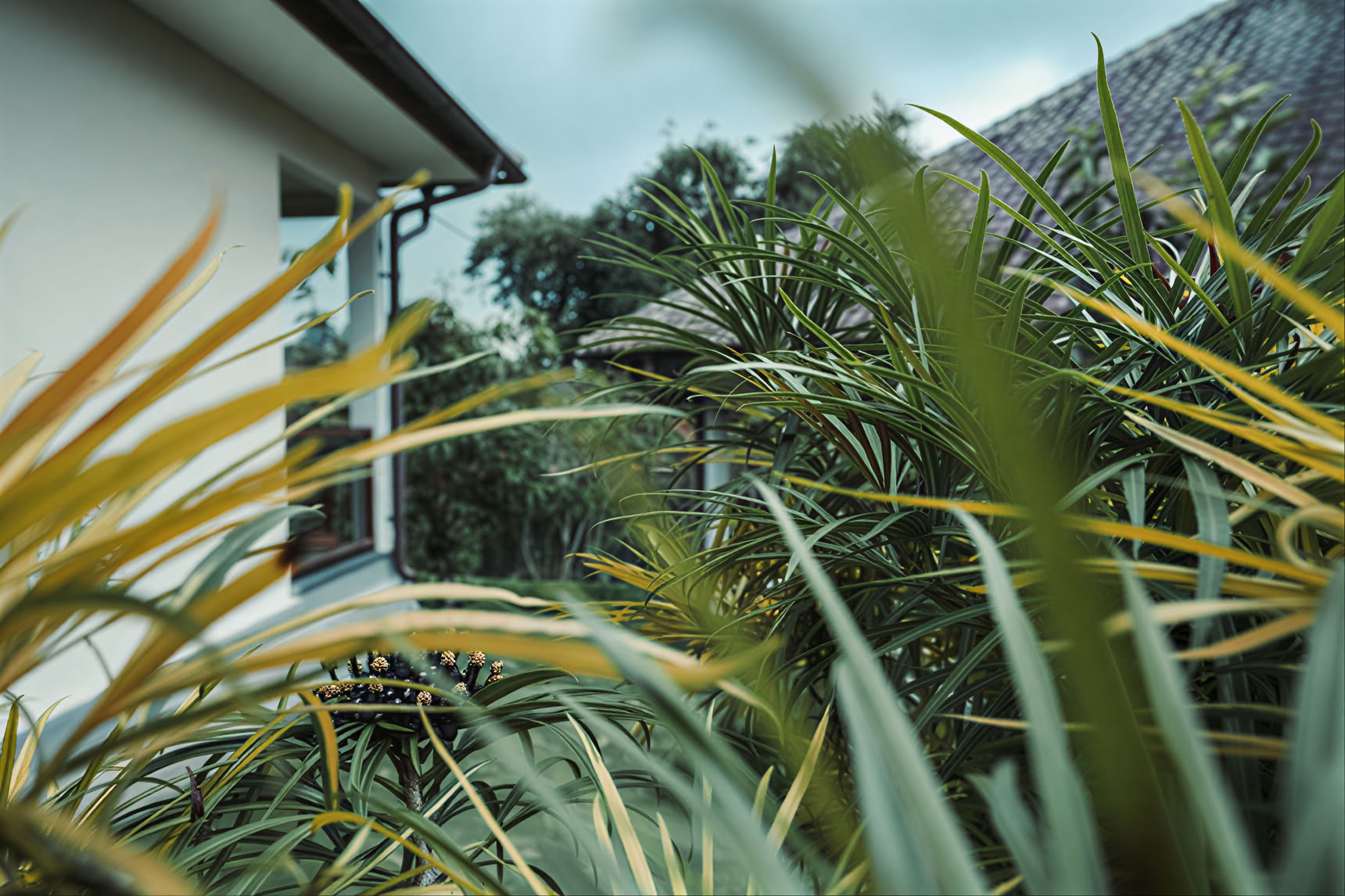 200 ore di YTT a Pelaga, Bali – 26 ott. – 14 nov. 2026