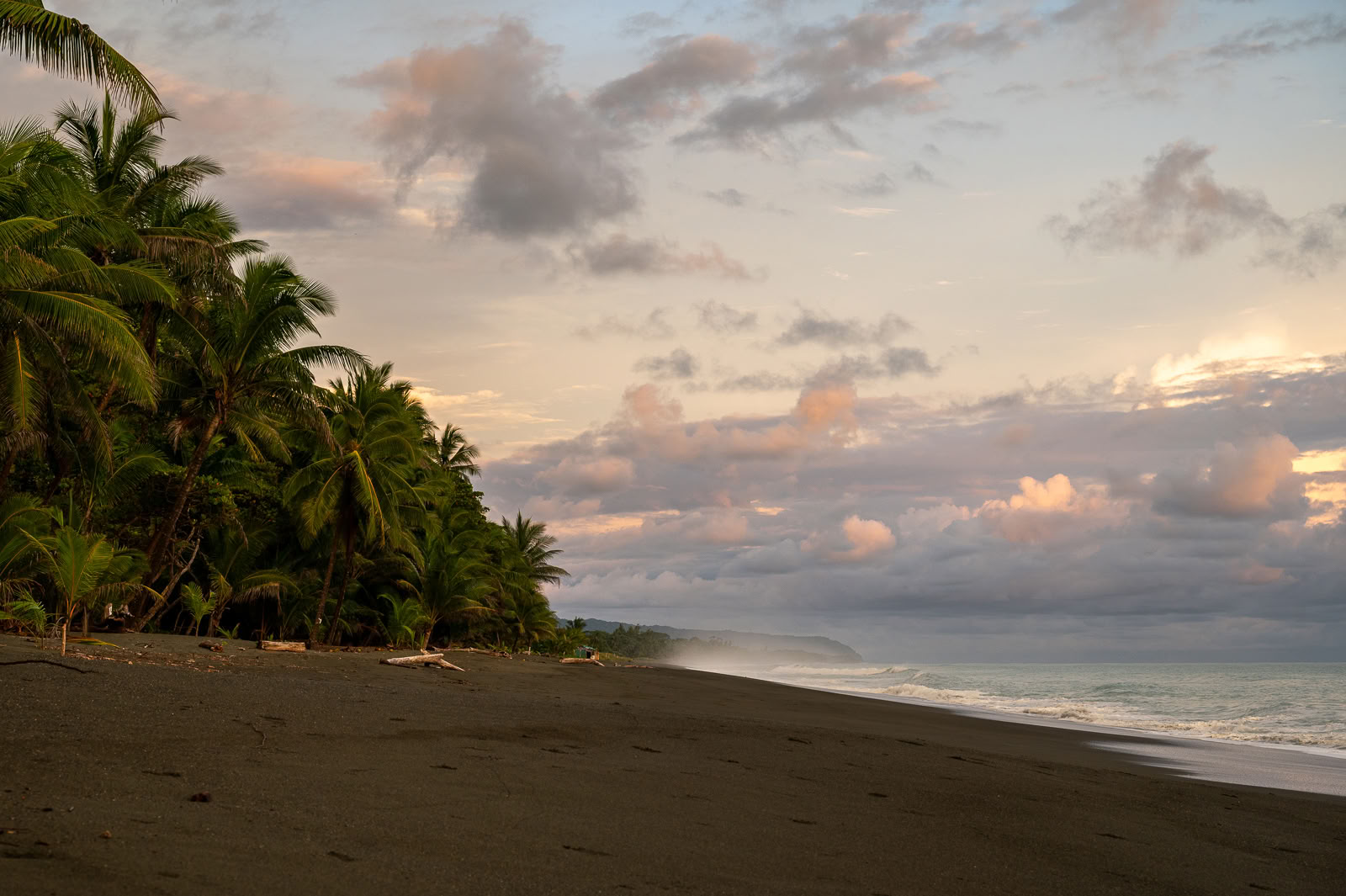 Cerimonia Kambo a Cahuita - Purifica, Guarisci e Potenzia