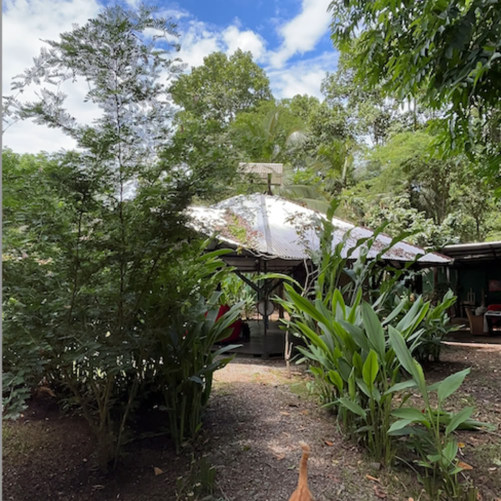Home Sanctuary Ayahuasca Ritiro – 18 - 25 Luglio