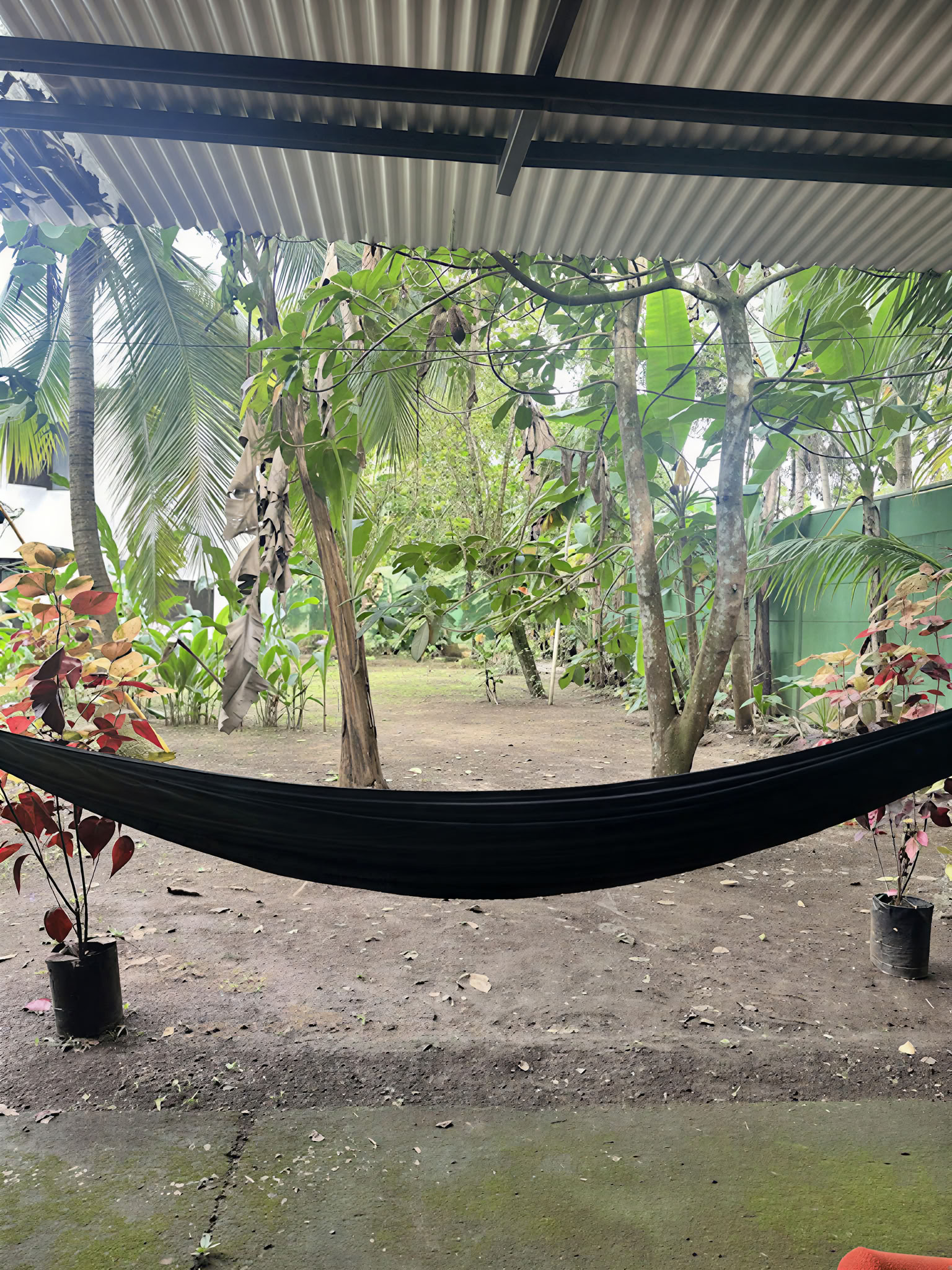 Home Sanctuary Ayahuasca Ritiro – 3 - 10 October