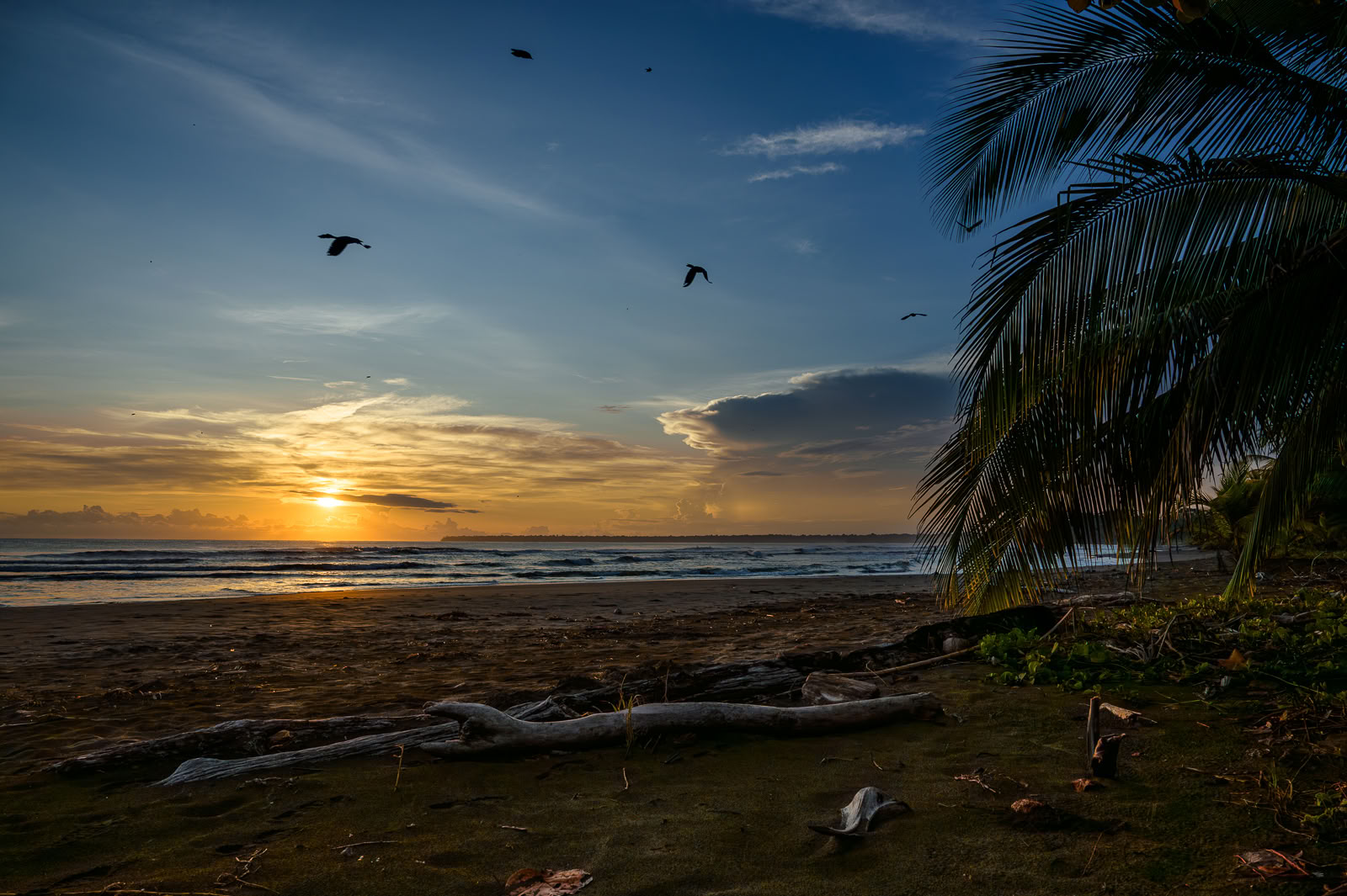 Home Sanctuary Ayahuasca Ritiro – 3 - 10 October