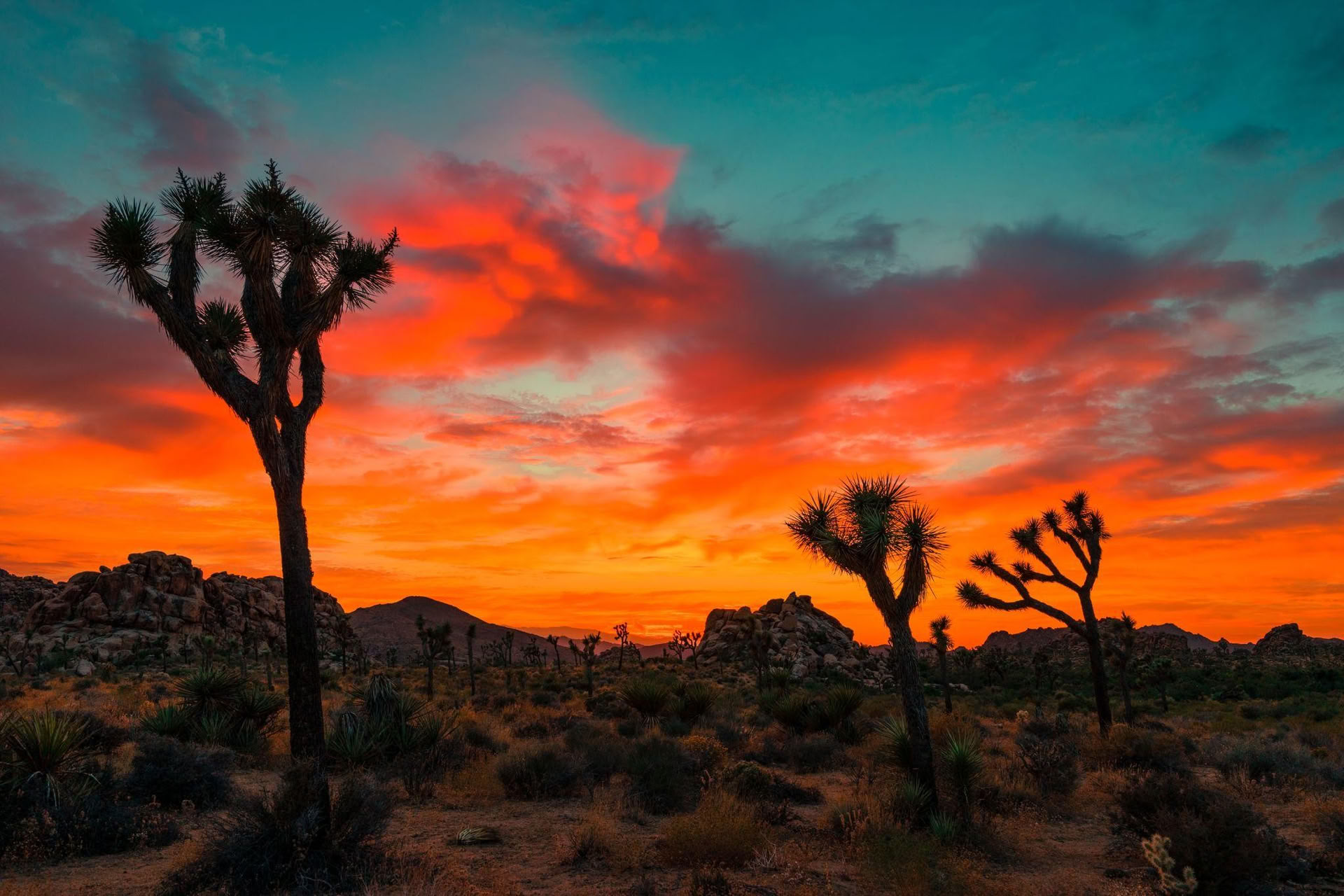 Il Viaggio Trasformativo nel Deserto
