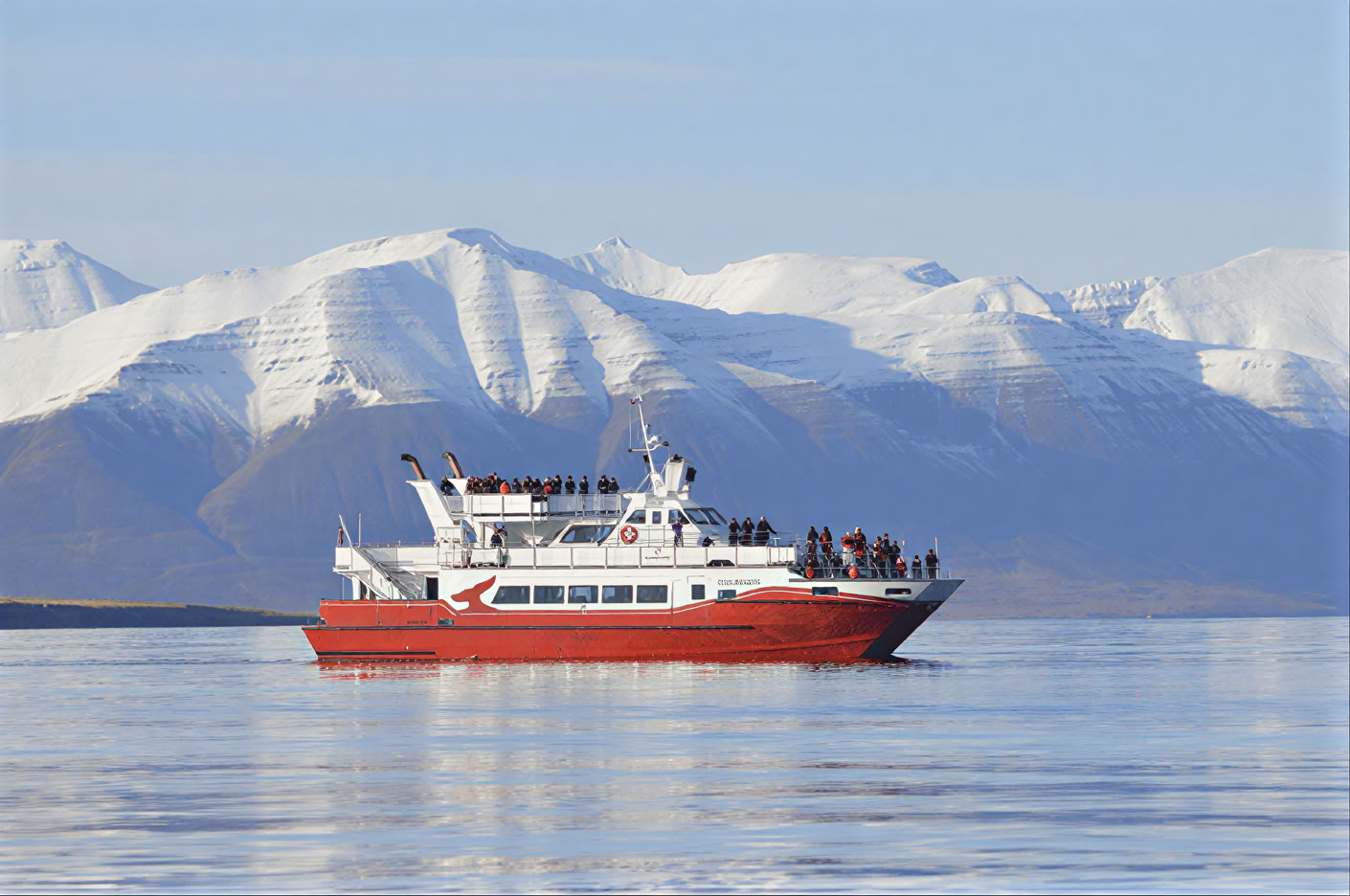 Avvistamento Balene ad Akureyri
