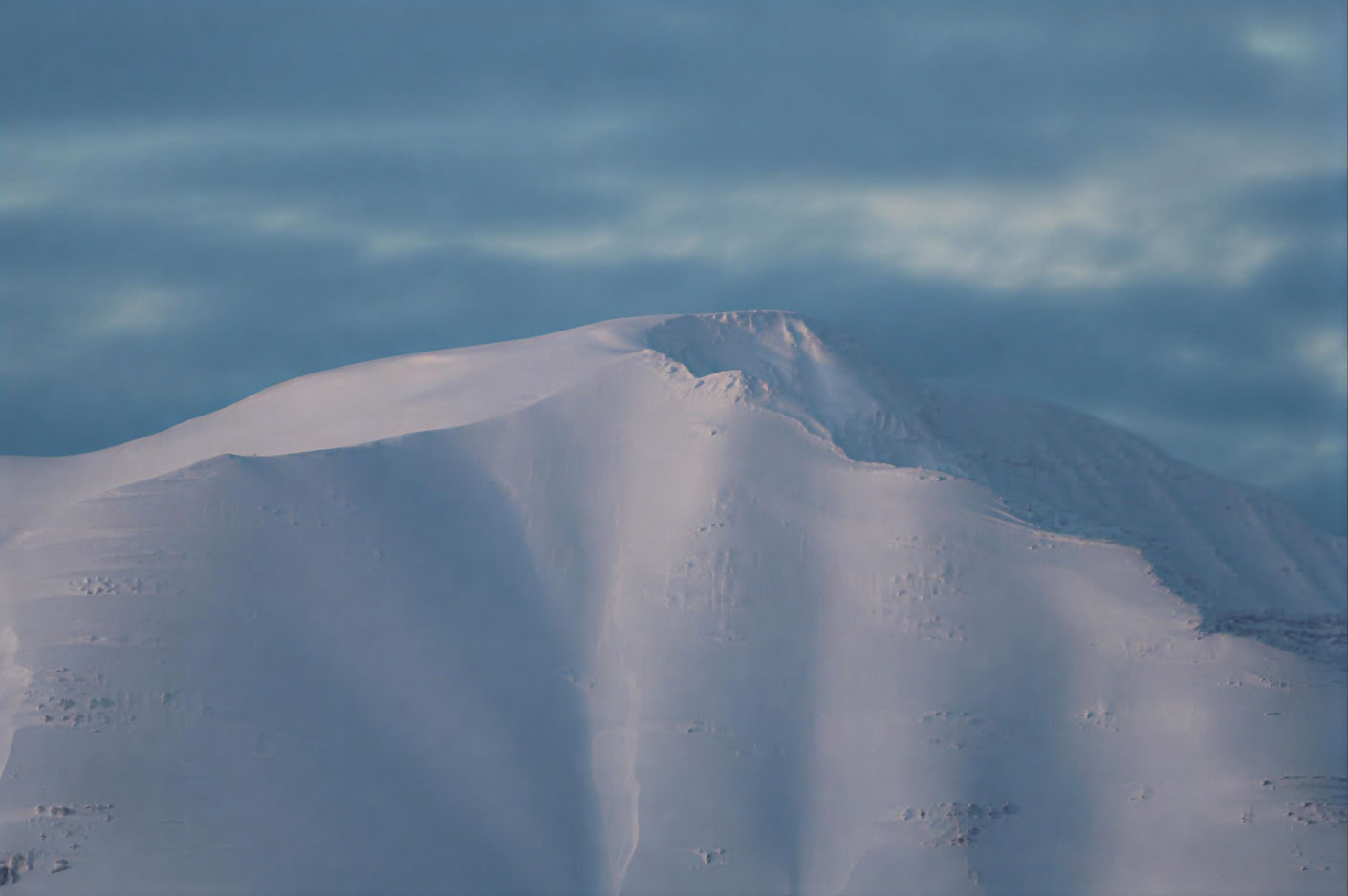 Avvistamento Balene ad Akureyri