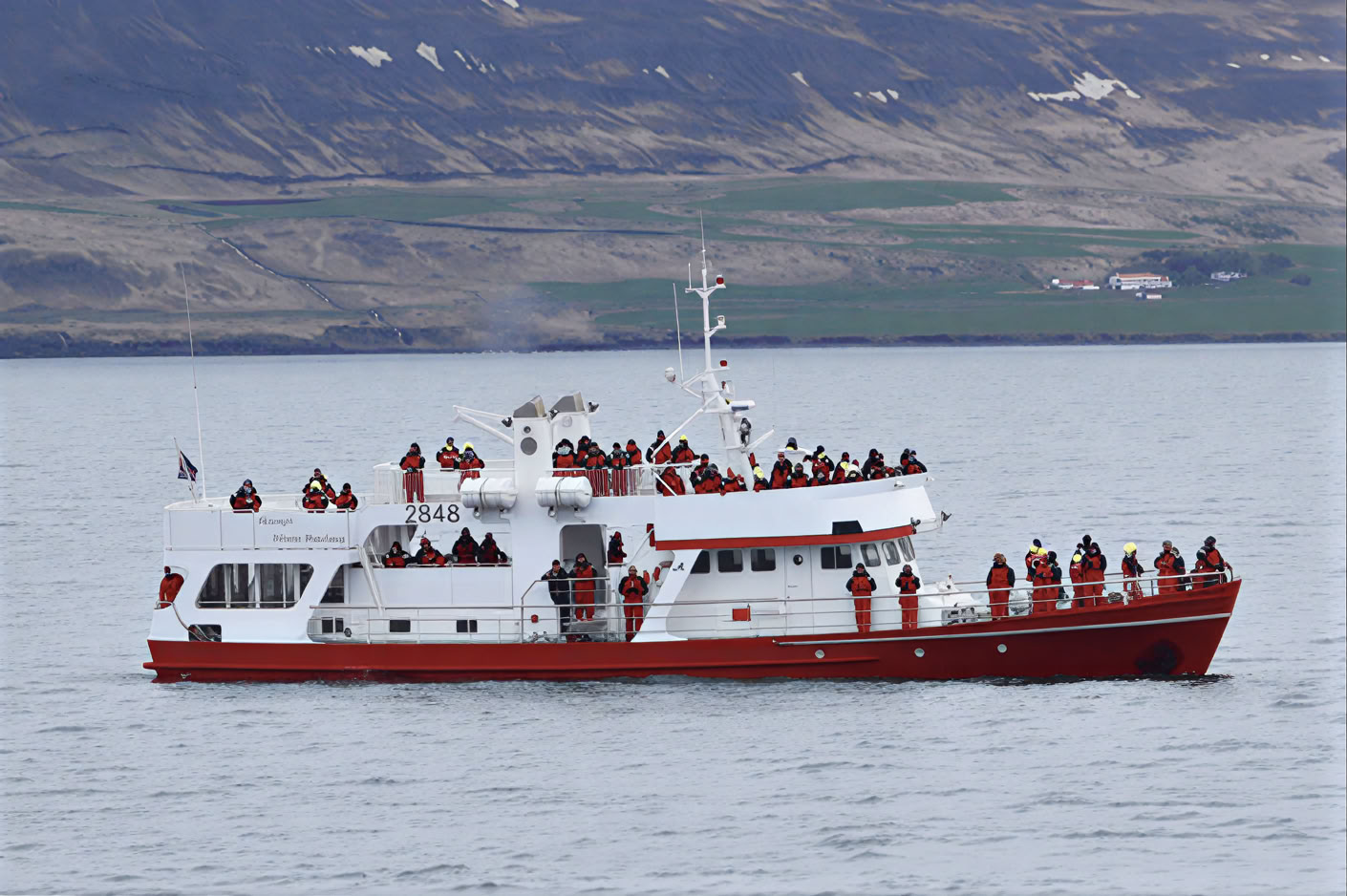 Avvistamento Balene ad Akureyri