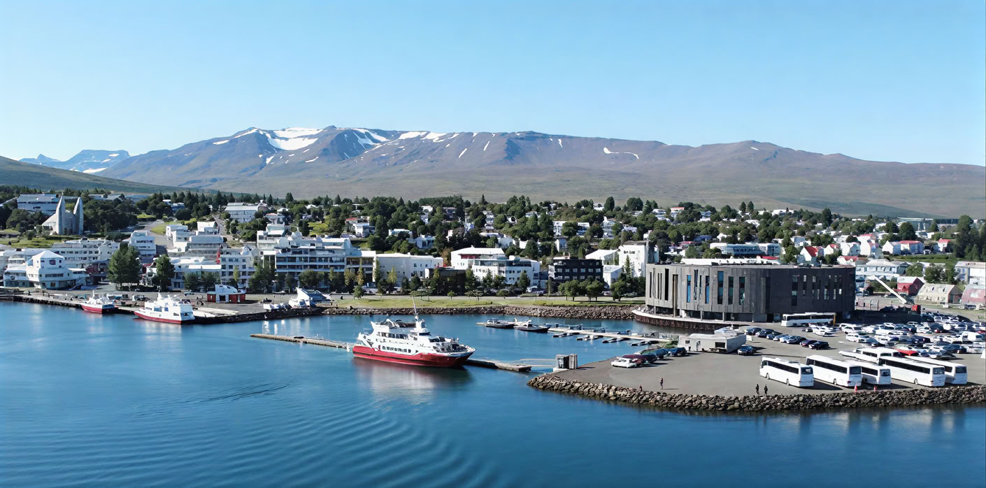 Avvistamento Balene ad Akureyri