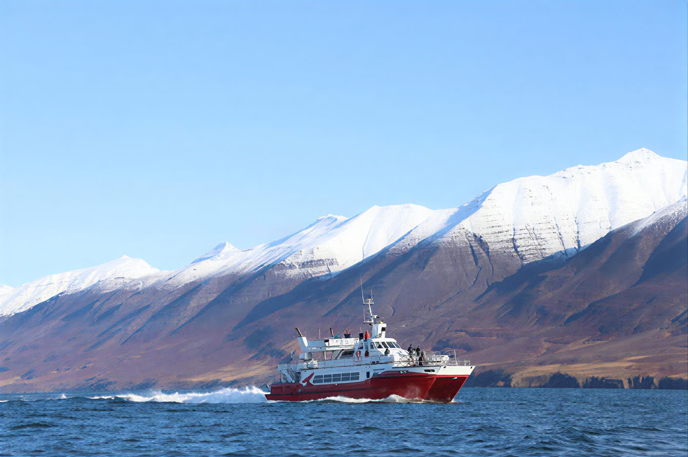 Avvistamento Balene ad Akureyri