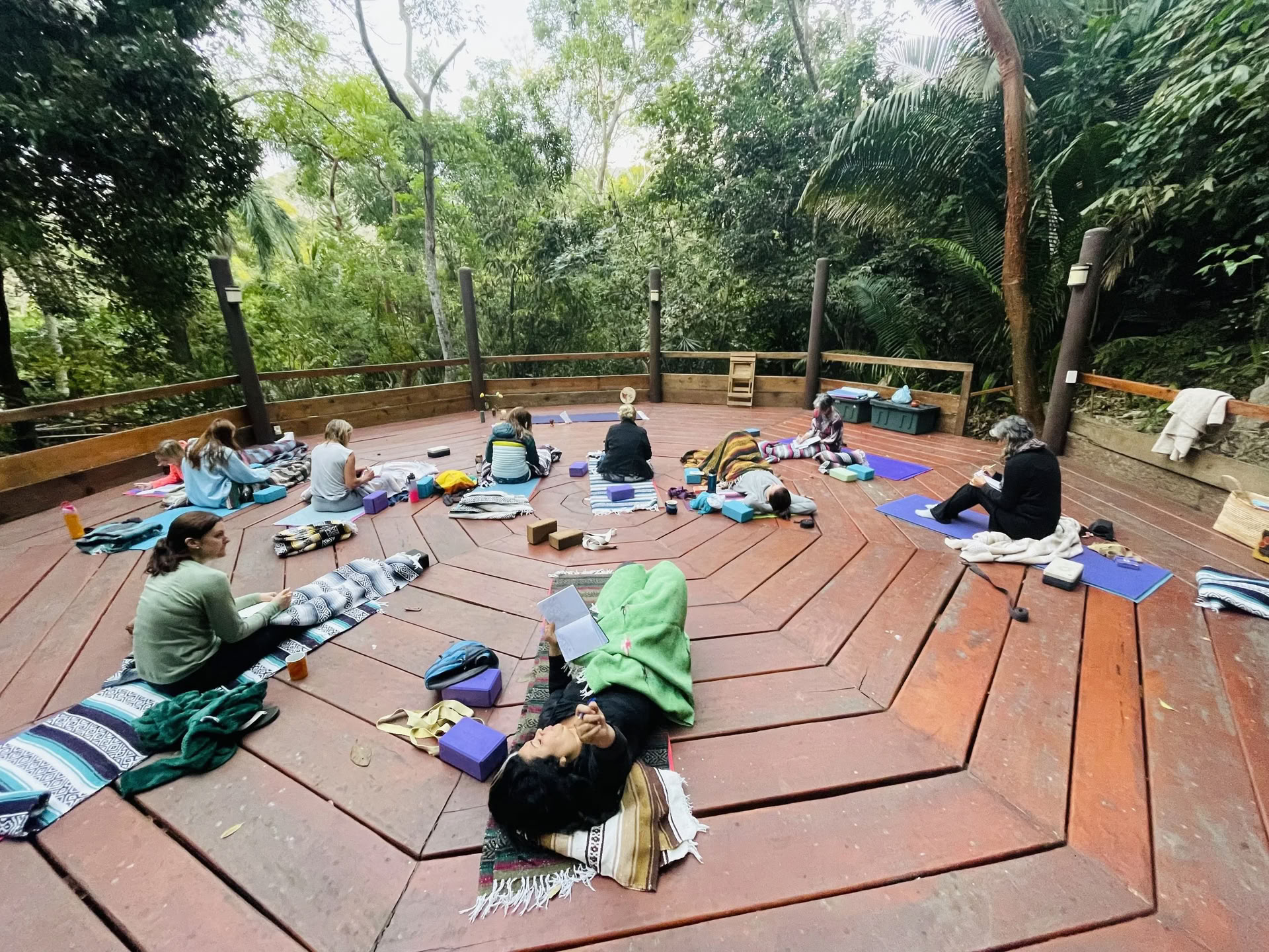 Heal Subtle Forces Within: Reset & Recovery Wellness Ritiro