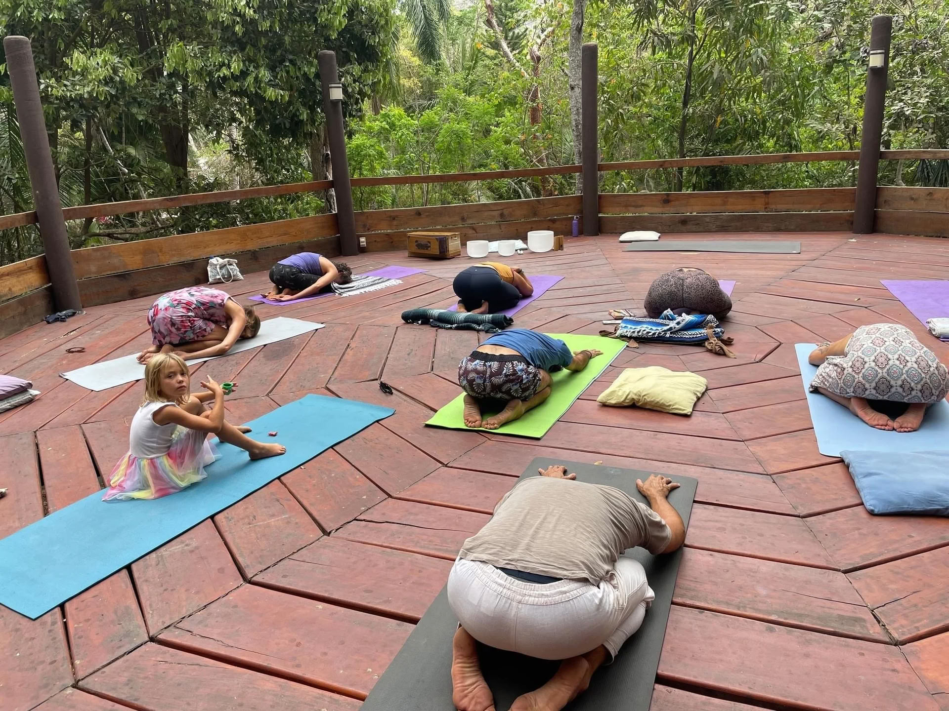 Heal Subtle Forces Within: Reset & Recovery Wellness Ritiro