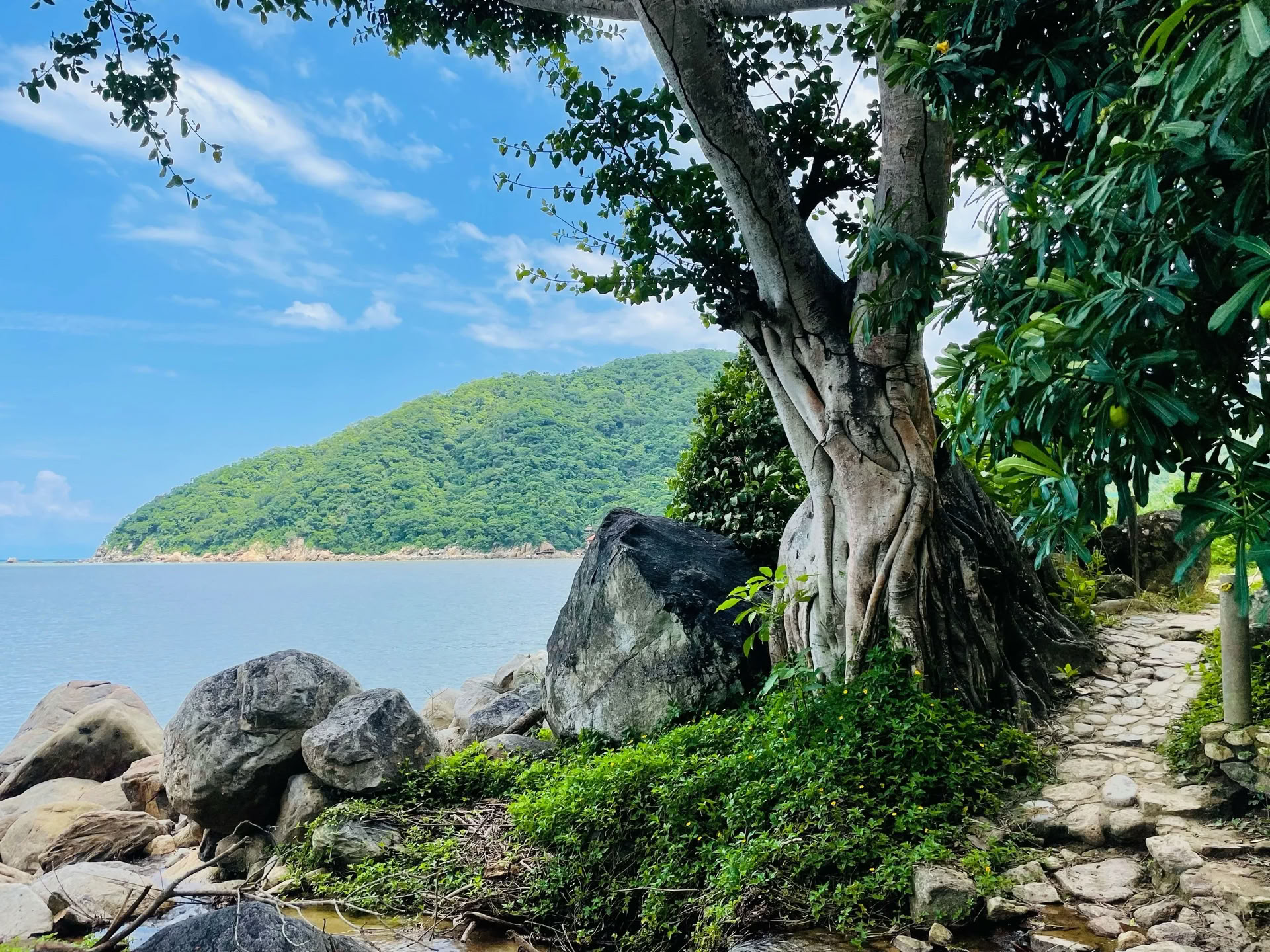 Heal Subtle Forces Within: Reset & Recovery Wellness Ritiro