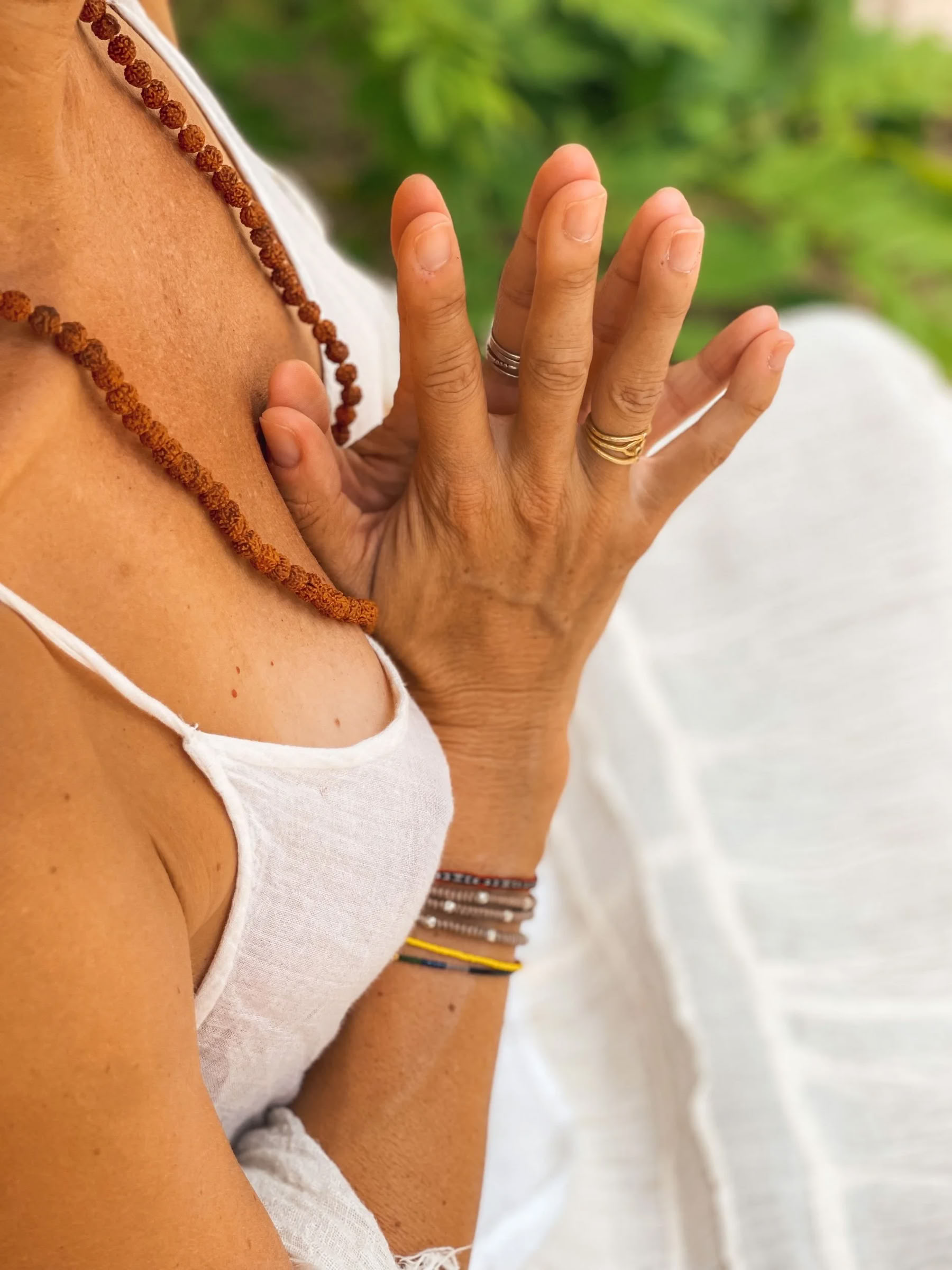 Heal Subtle Forces Within: Reset & Recovery Wellness Ritiro