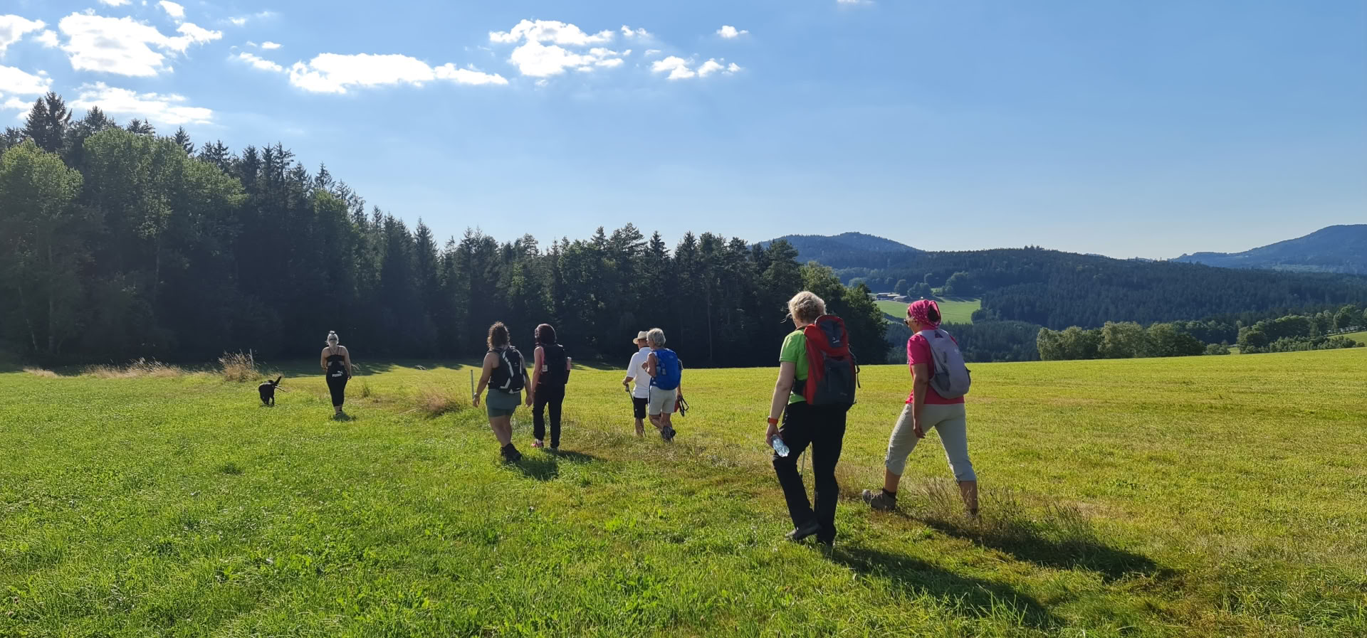 Corso di digiuno con escursioni e yoga