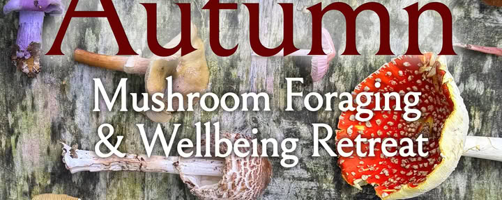 Mattinata di raccolta di funghi autunnali