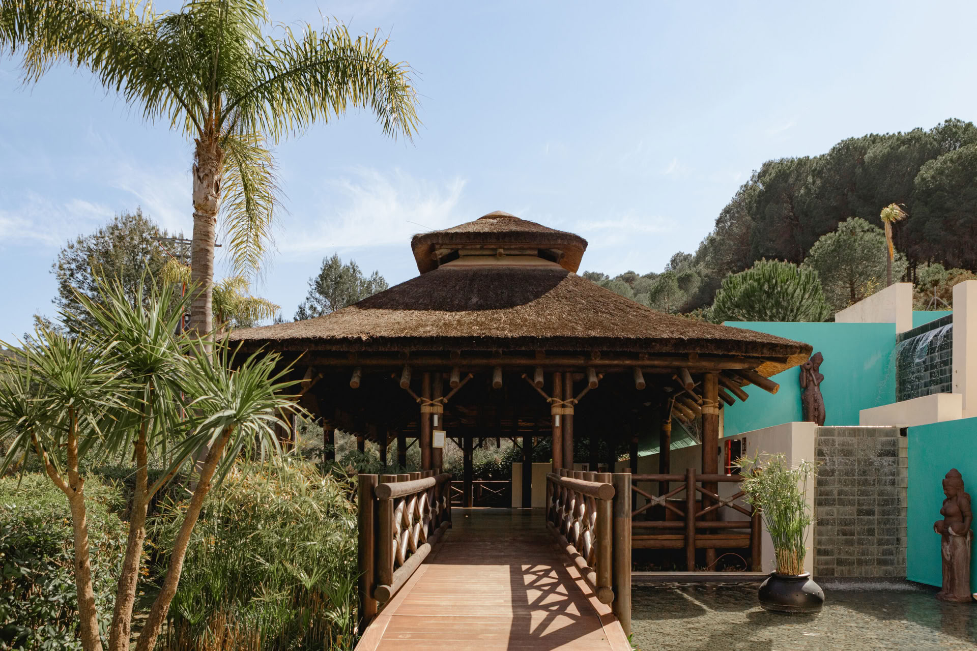 Ritiro Detox