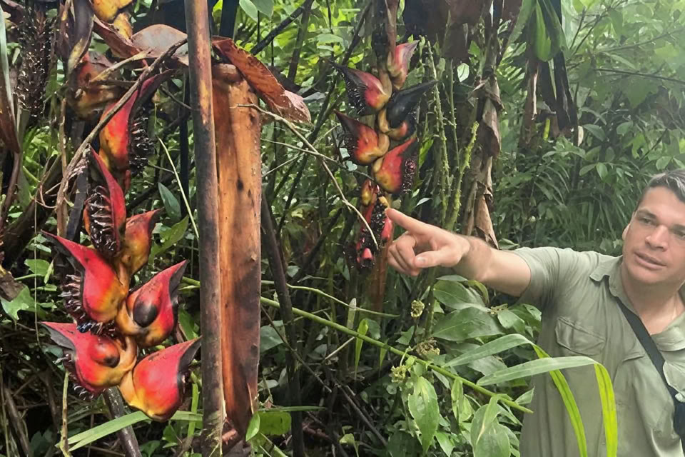 Ritiro di yoga e meditazione di 5 giorni / 4 notti a Tamarindo, Costa Rica