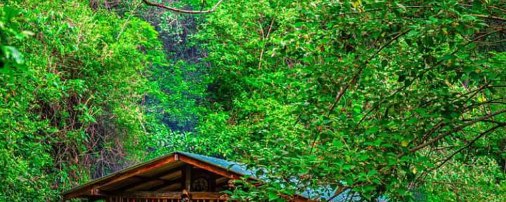 Cerimonia Tradizionale di Ayahuasca