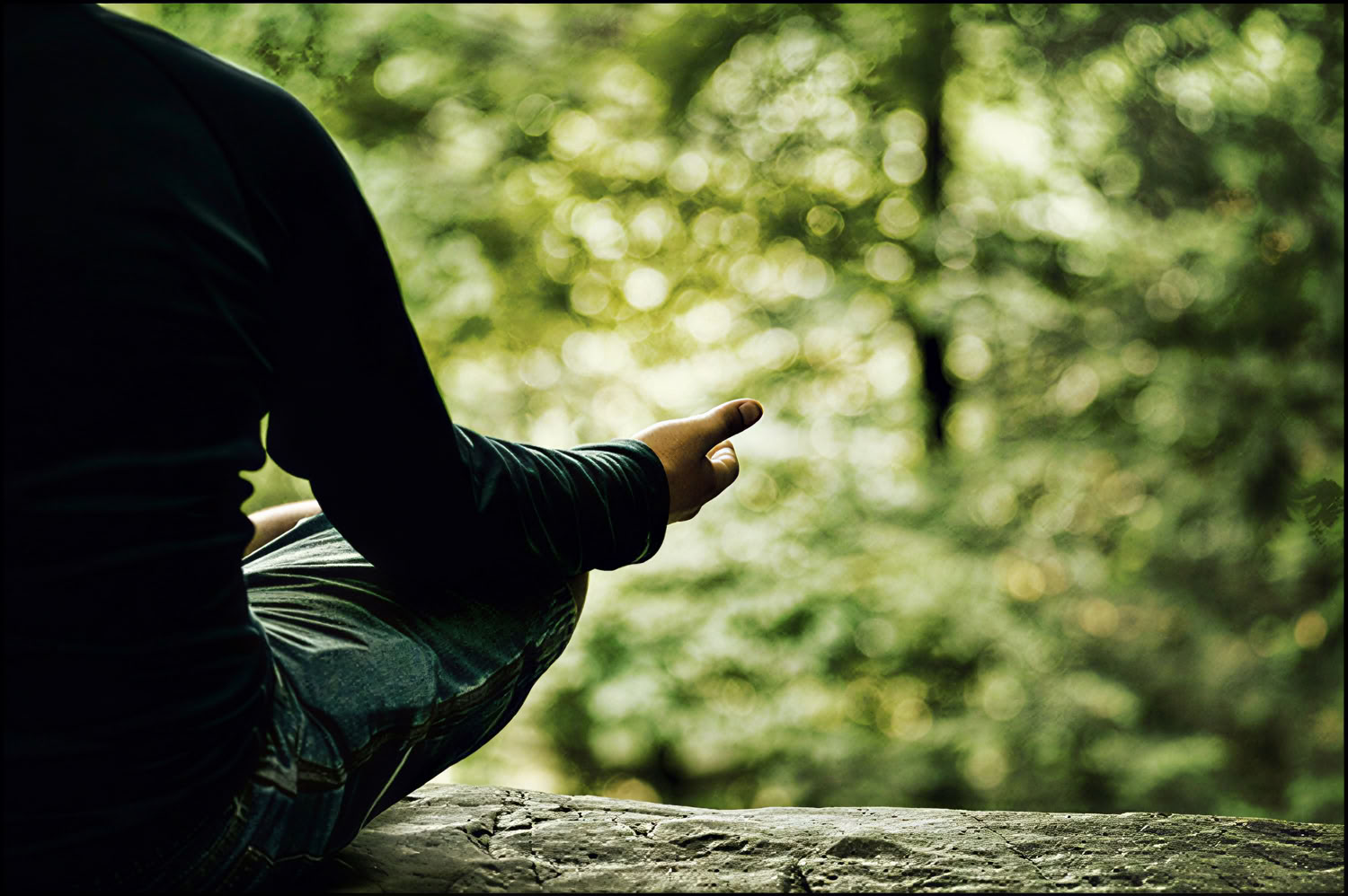 Mindfulness Meditation: Una giornata di silenzio con Liz