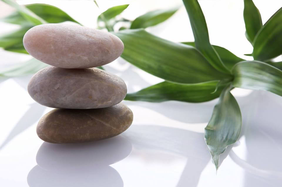 Mindfulness Meditation: Una giornata di silenzio con Liz