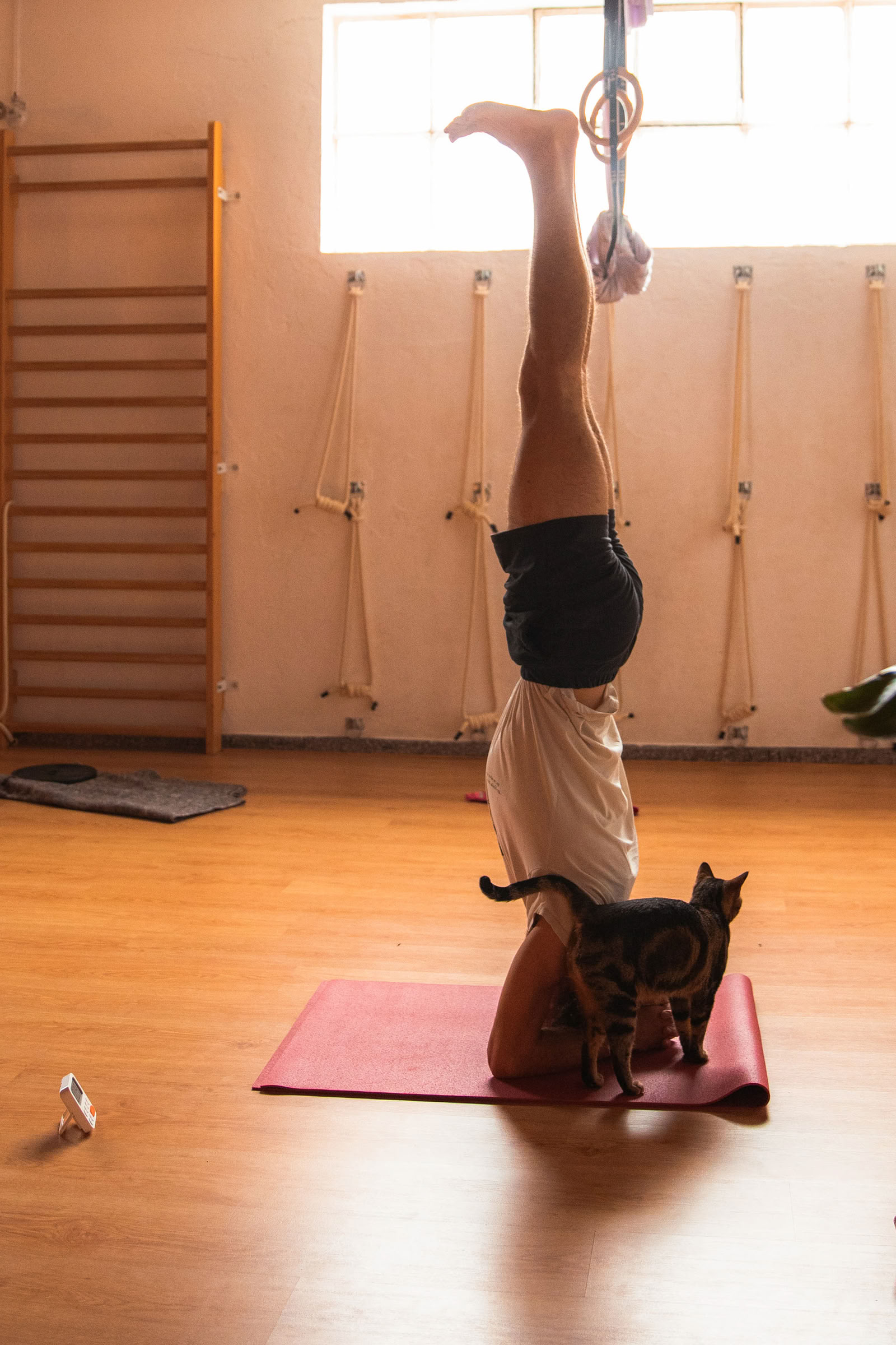 Workshop: La vita segreta della fascia
