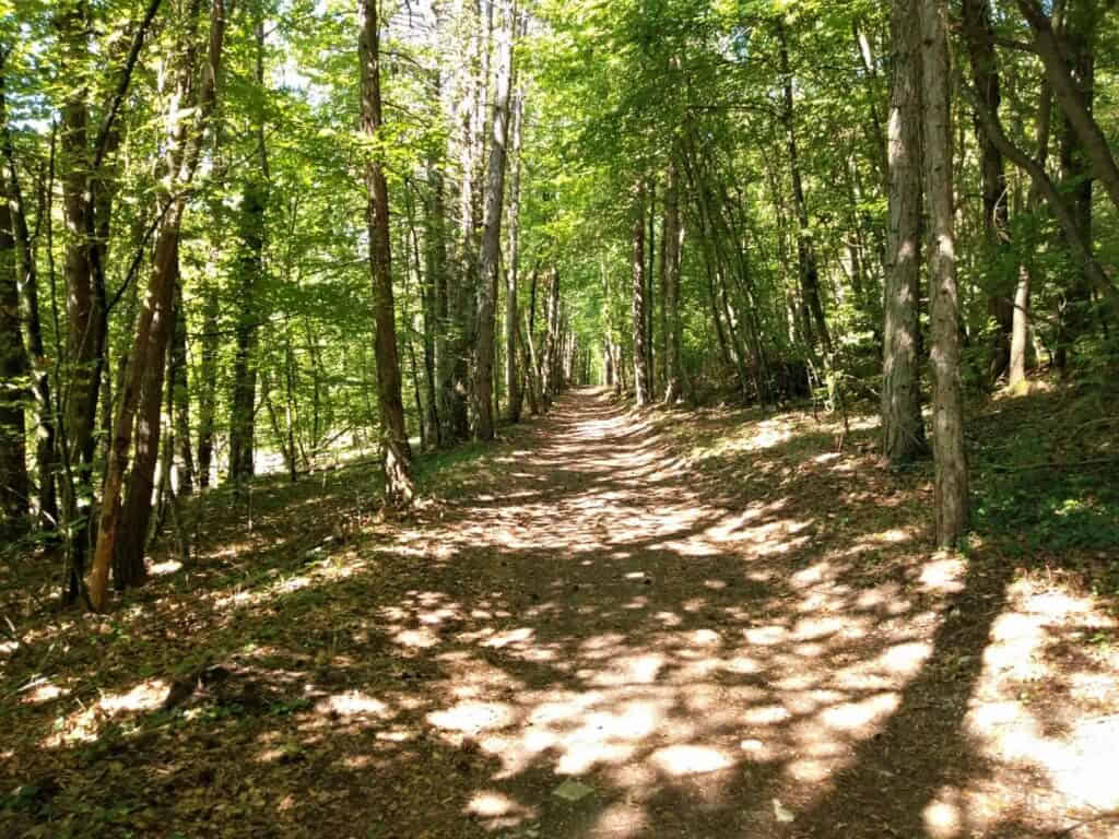 Yoga e meditazione camminata