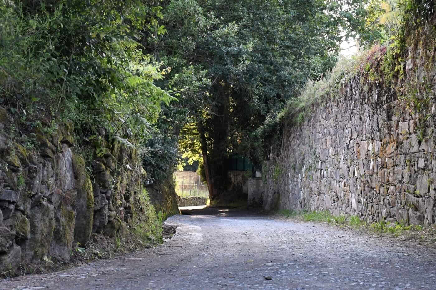 Cammino di Santiago portoghese da Tui in 5 tappe, classe comfort