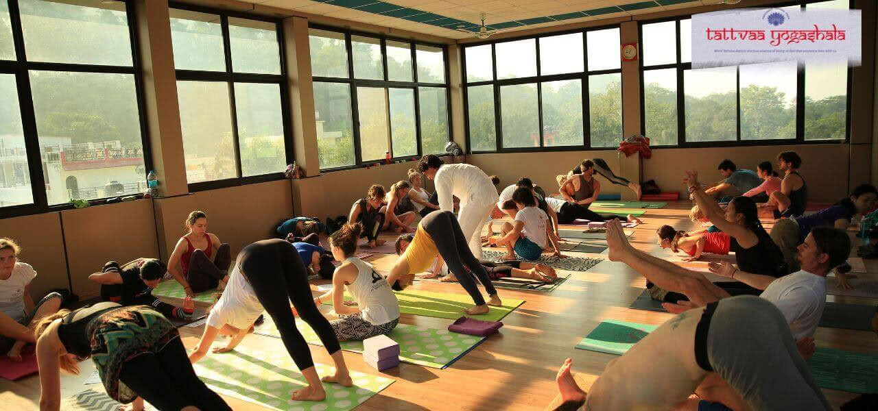 Formazione Insegnanti di Yoga di 500 ore a Rishikesh