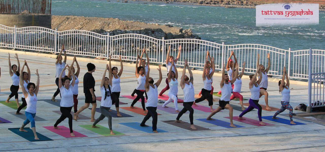 Formazione Insegnanti di Yoga Multi-Stile