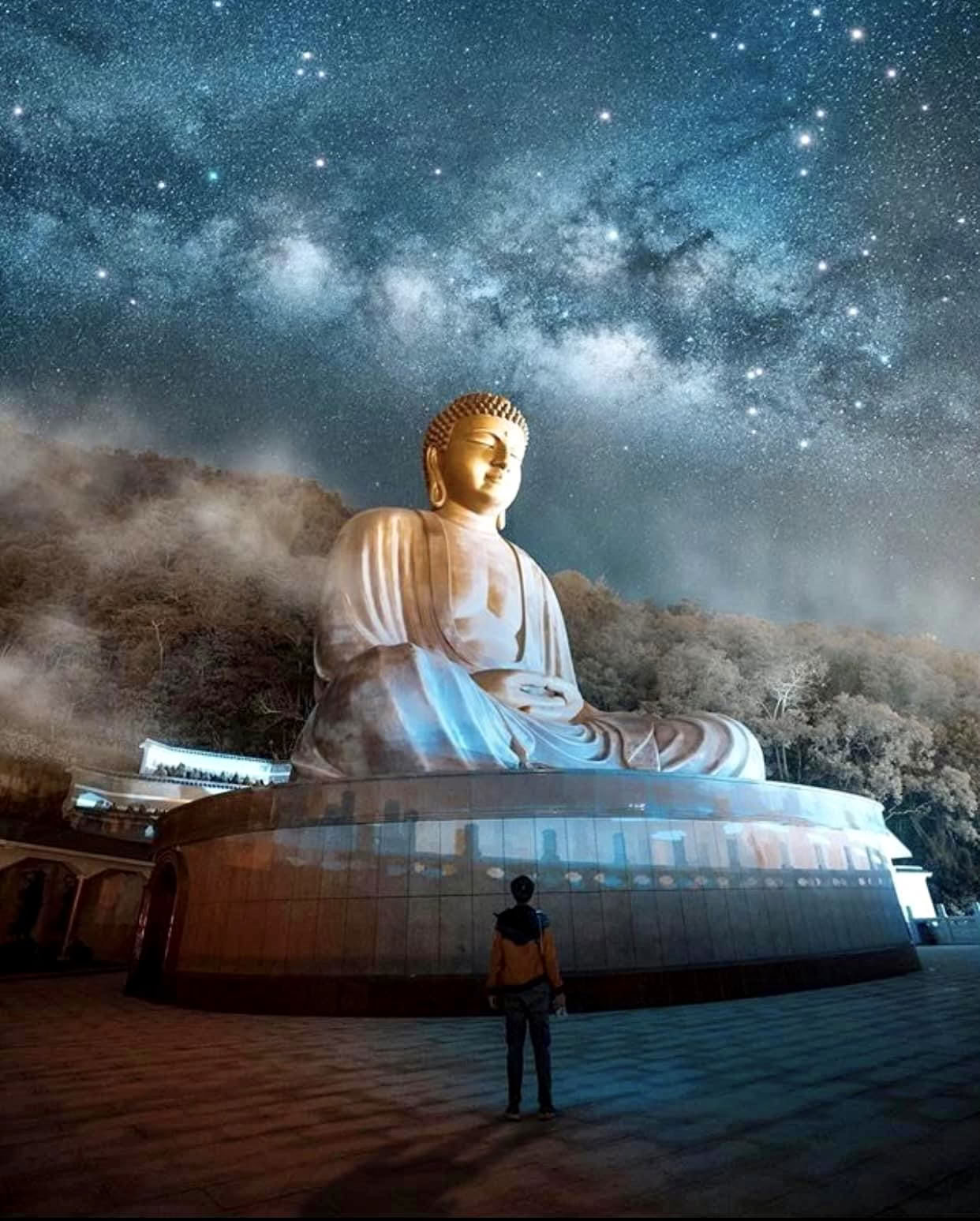 Luglio Yoga Tibetano: Un'introduzione seria all'allenamento intermedio Tsa Lung Trulkhor