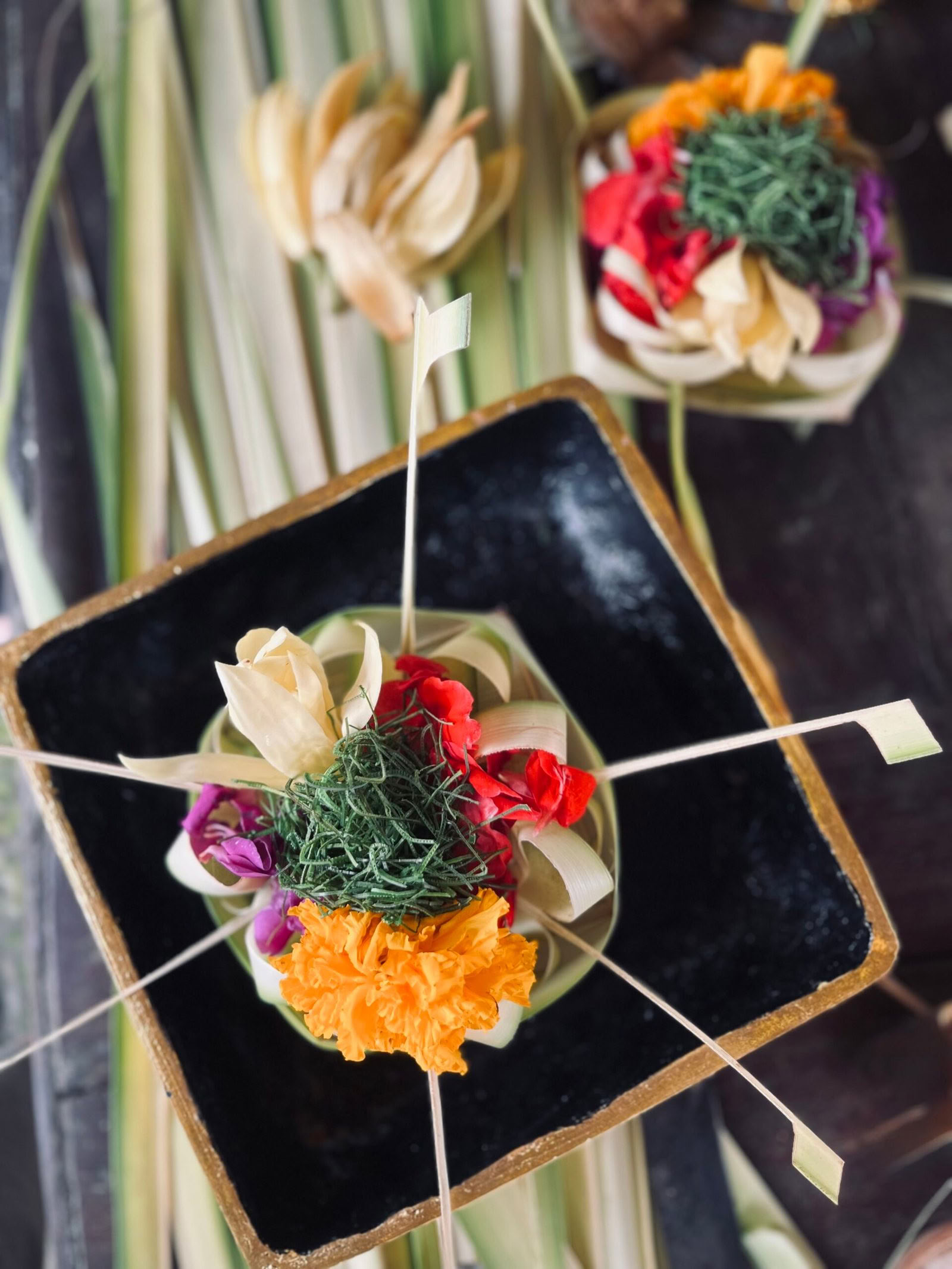5 Giorni Balance Wellness Ritiro