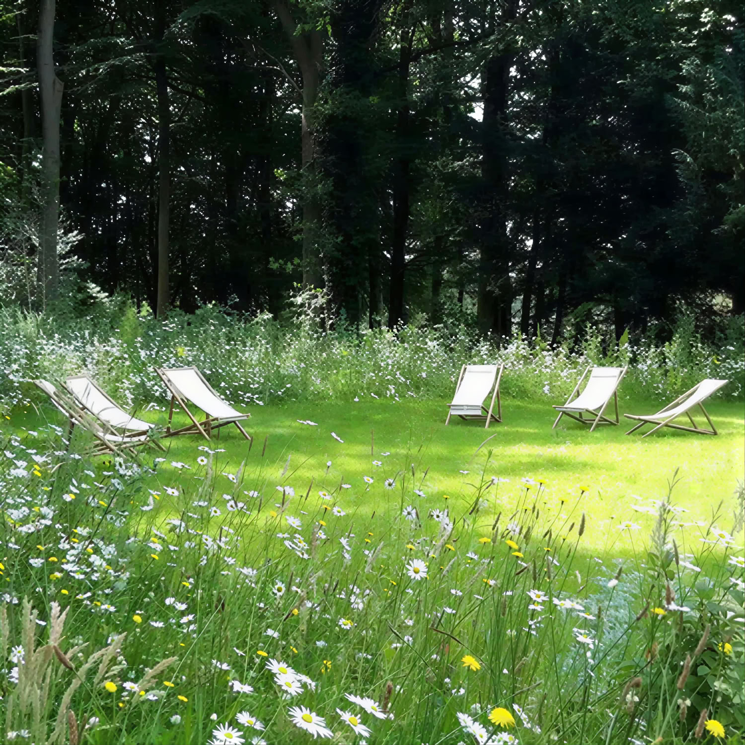 Beckley Retreats - I Paesi Bassi