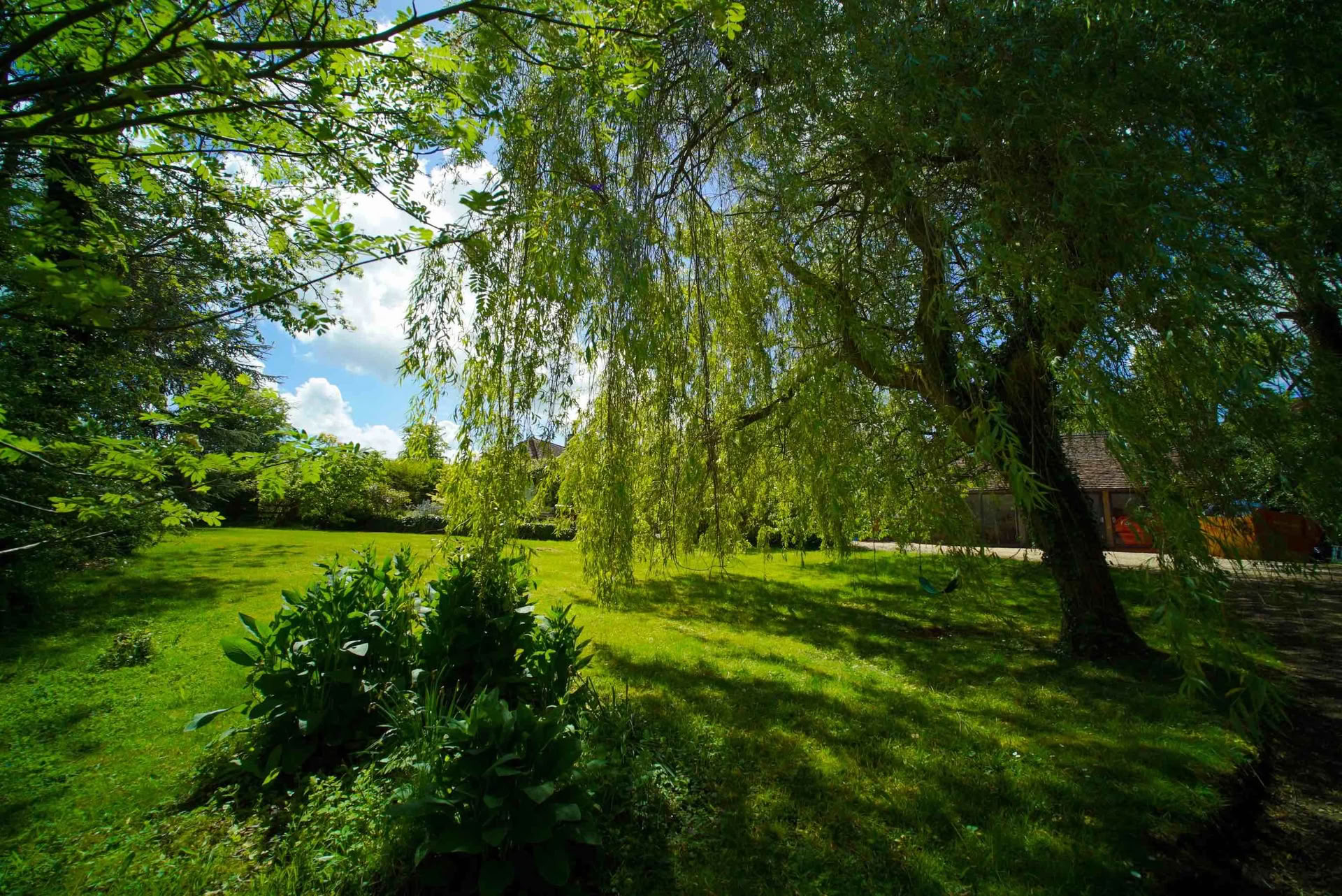 Juice Fasting and Yoga Ritiro, Cotswolds, Oxfordshire