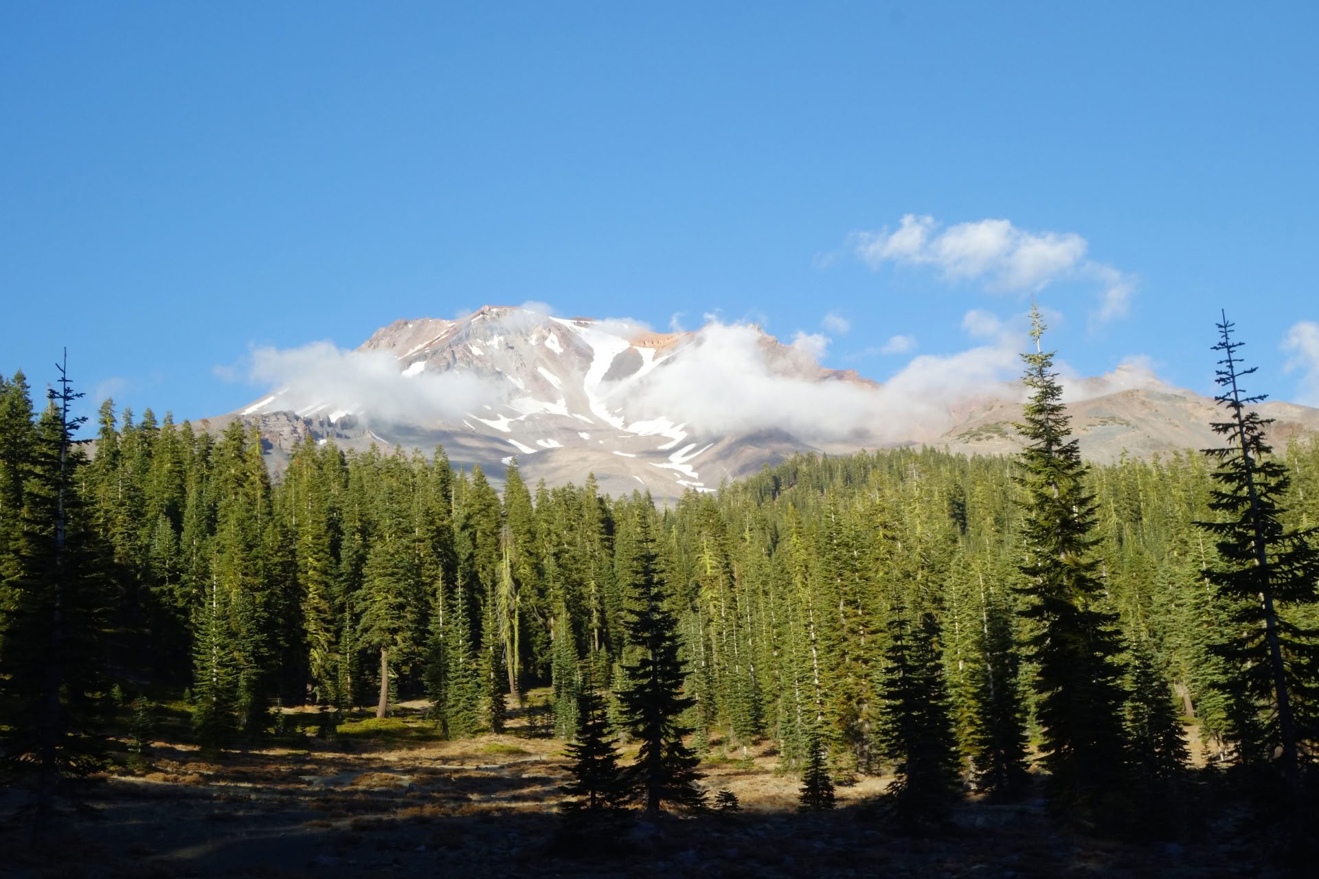 Ritiri Premium Mount Shasta