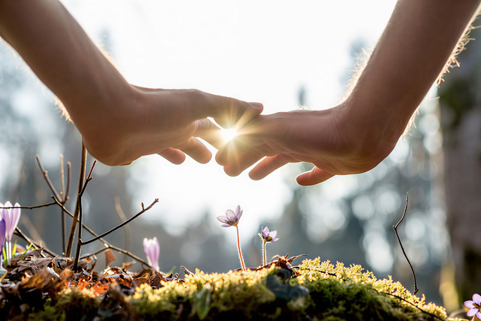 Panchakarma · Ritiri Ayurveda di 7–14 giorni