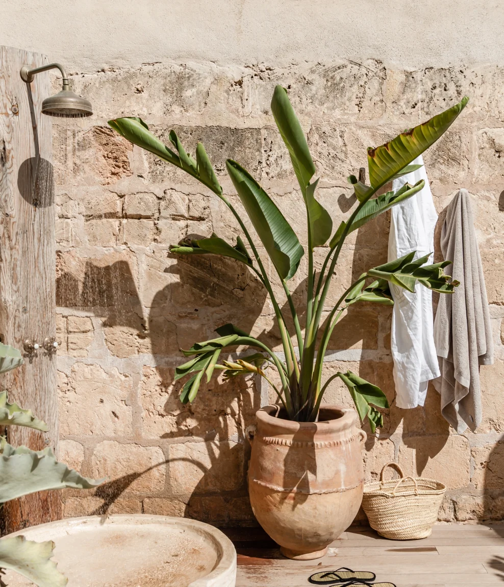 Mediterranean Flow: Yoga in riva al mare a Mallorca con Stephanie Phelan