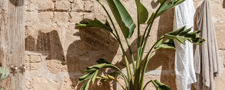 Ritiro di yoga e mindfulness