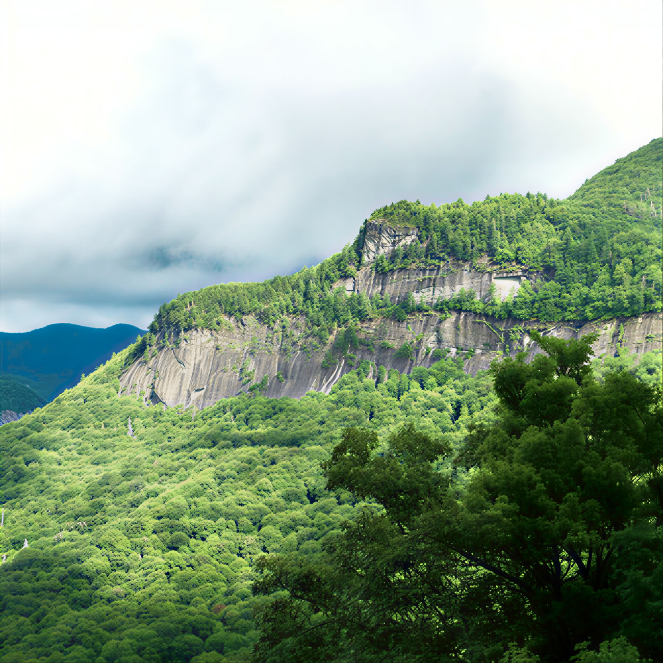 Sentiero verso la vetta di Whiteside Mountain, North Carolina