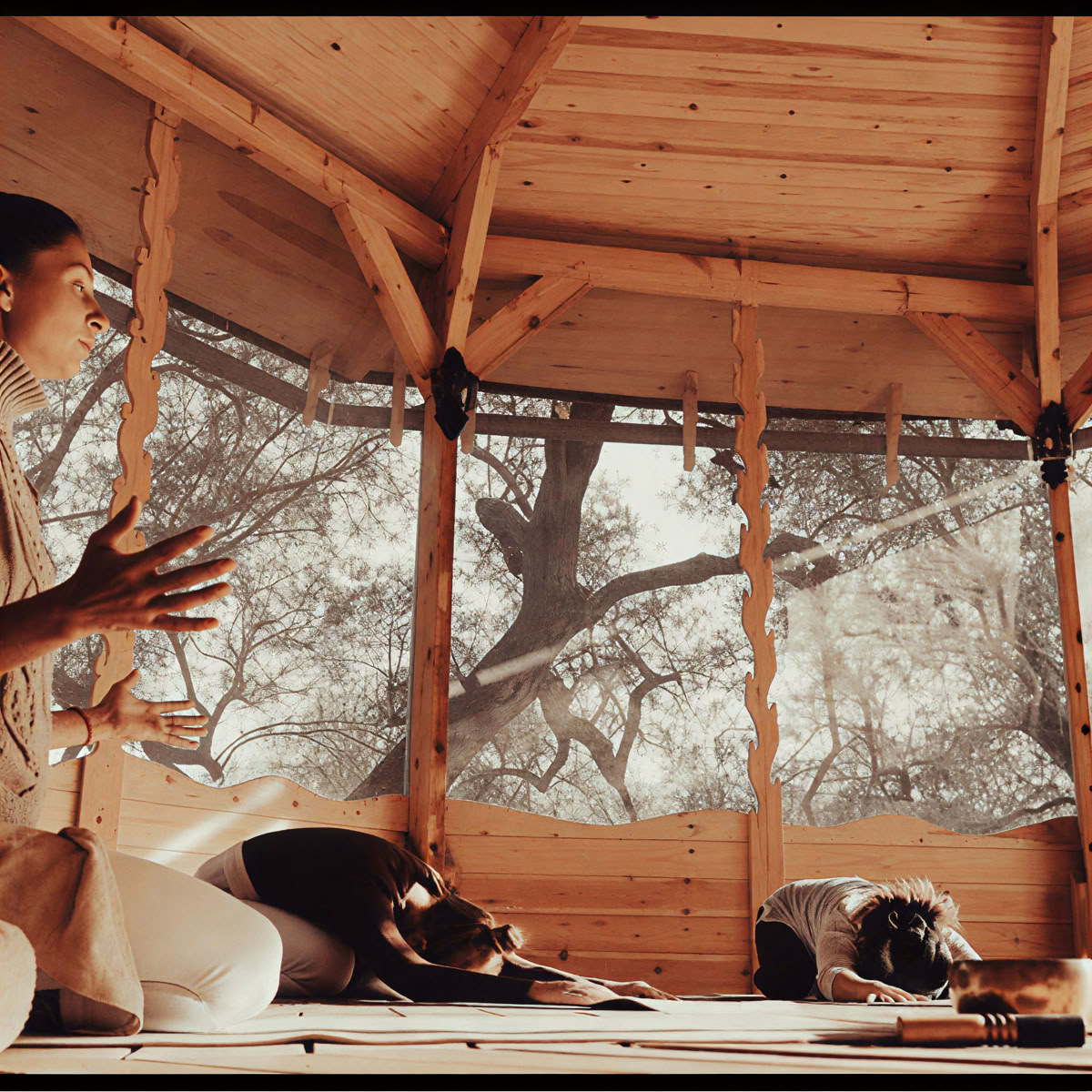 Ritiro di Breathwork e medicina delle piante