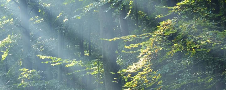 Ritiro di yoga e meditazione nuda per donne della Terra