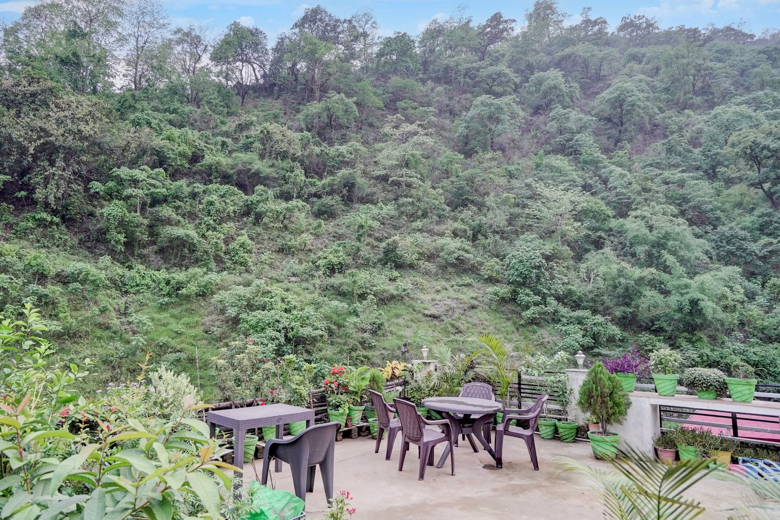 Detox Ritiro in Rishikesh