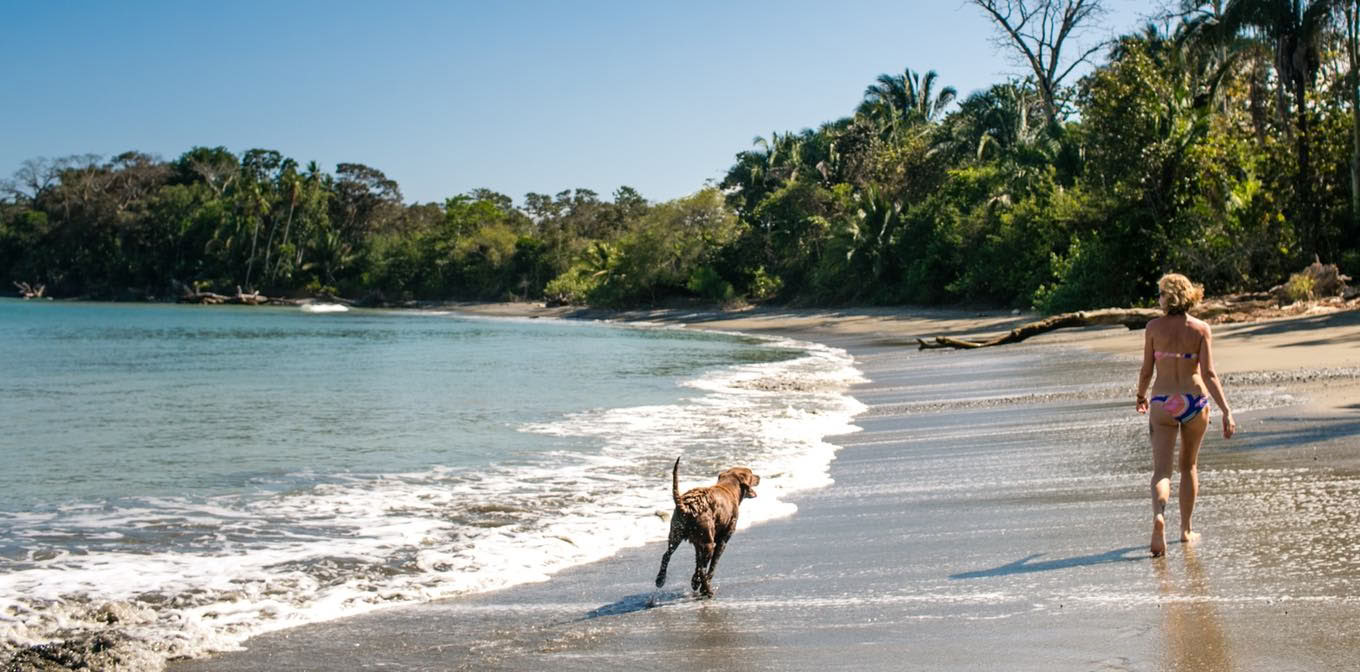 Re-Wilding: Un ritiro per donne in Costa Rica con Shelia