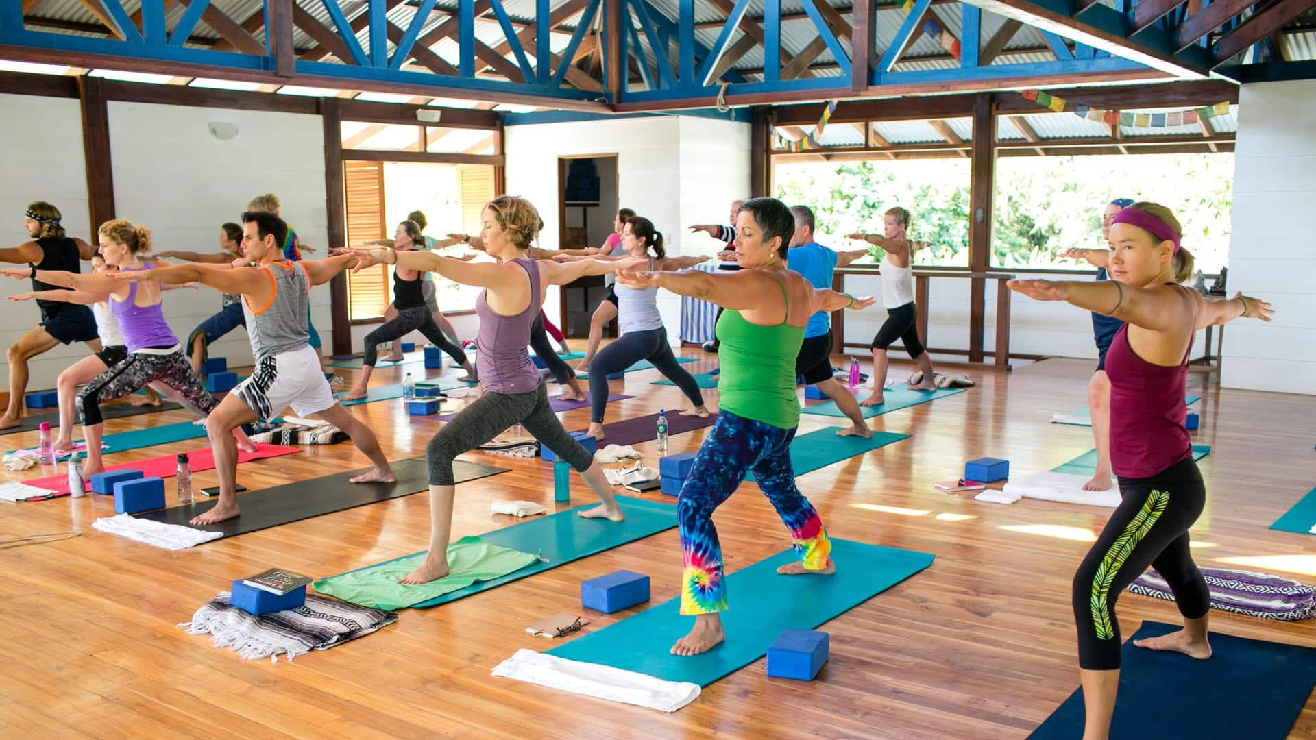 Soft Wisdom: Ritiro di Yoga e Meditazione in Costa Rica nel 2027