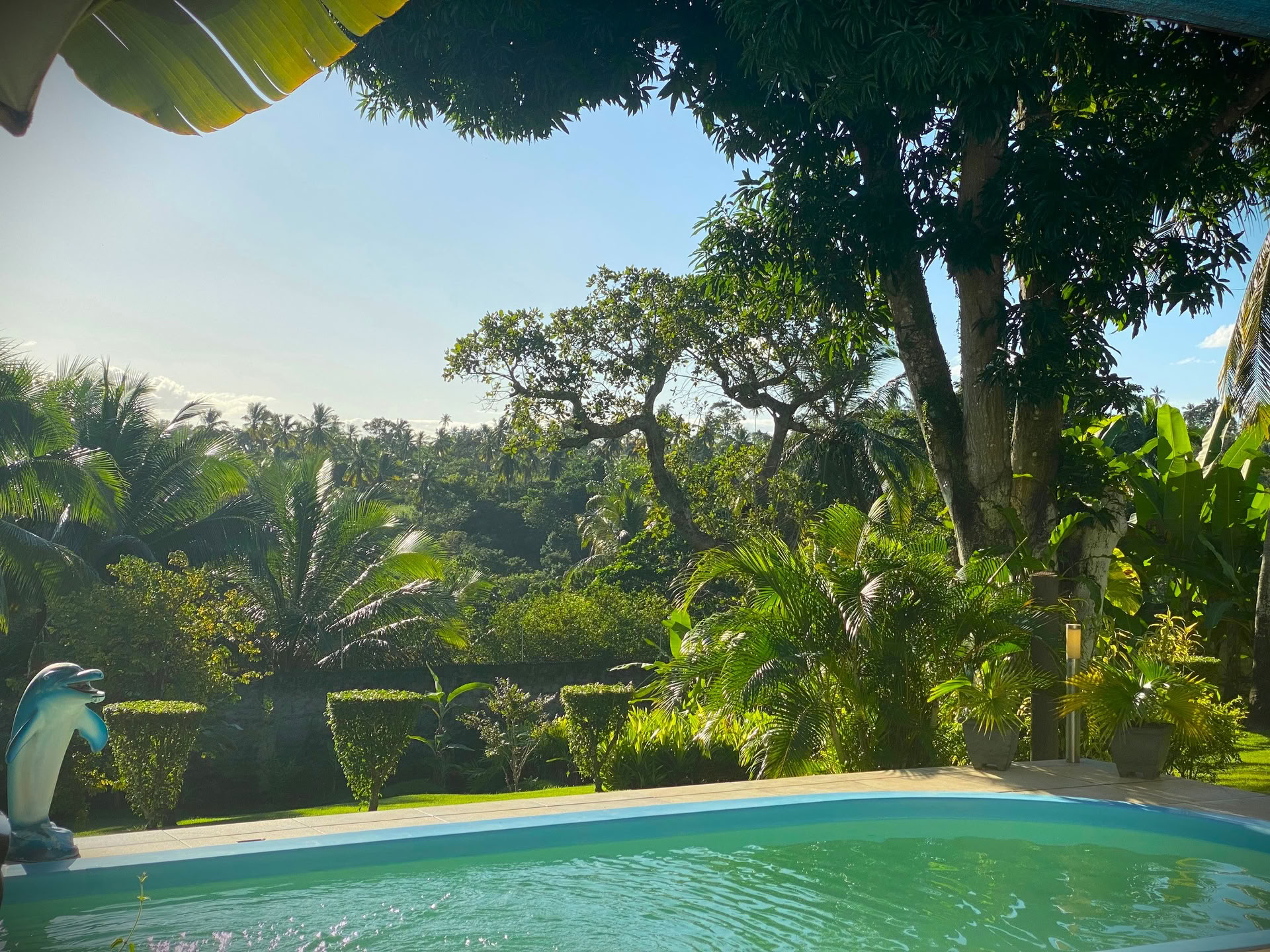 Surf Camp a Bahia, Brasile