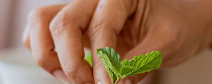 Pacchetto di fuga di lusso