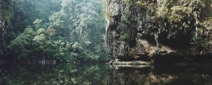 Ritiro di Ayahuasca di 11 giorni