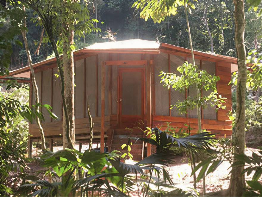 Ritiro Weekend Ayahuasca