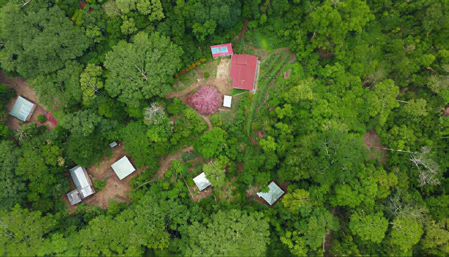 Ritiro Weekend Ayahuasca