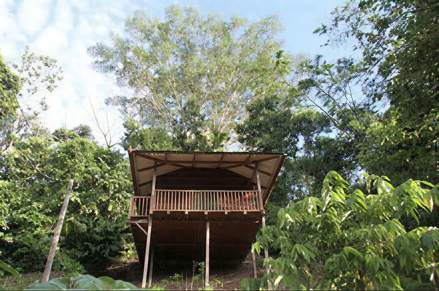 Ritiro Weekend Ayahuasca